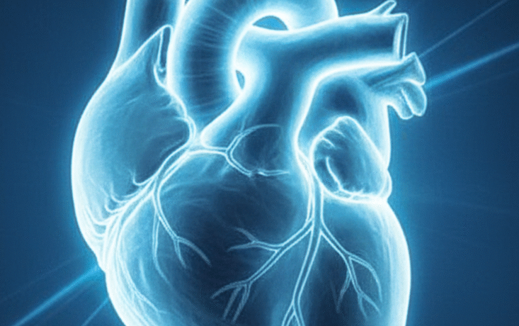 freepik__-__96920 freepik__-__96920